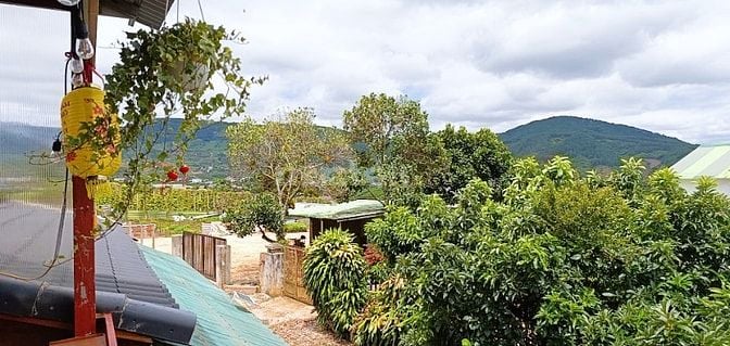 Cho thuê nhà gỗ vẹn đà lạt nghĩ dưỡng