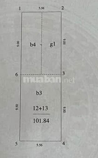 Căn góc 5T vị trí đắc địa Mp Đội Cấn vỉa hè kd sầm uất oto tránh 