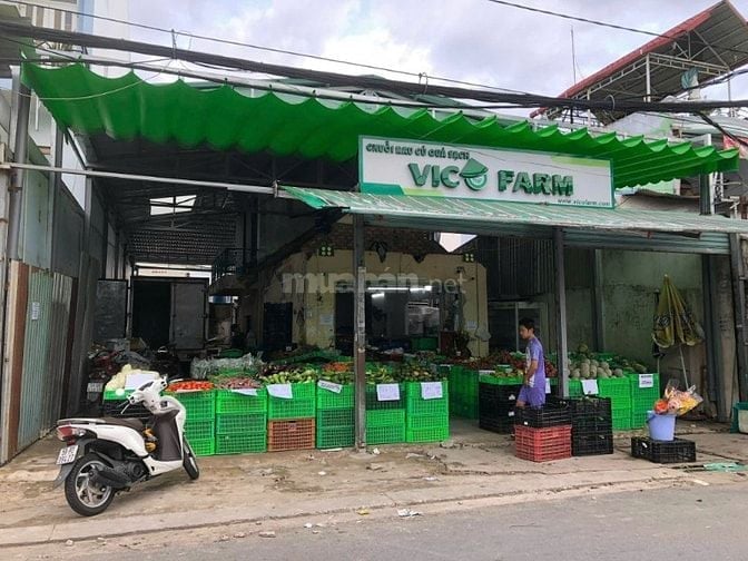 Bán nhà mặt tiền Đông Hưng Thuận 02, DT 5m1 x 26m5, ngay Chợ Cây Sộp