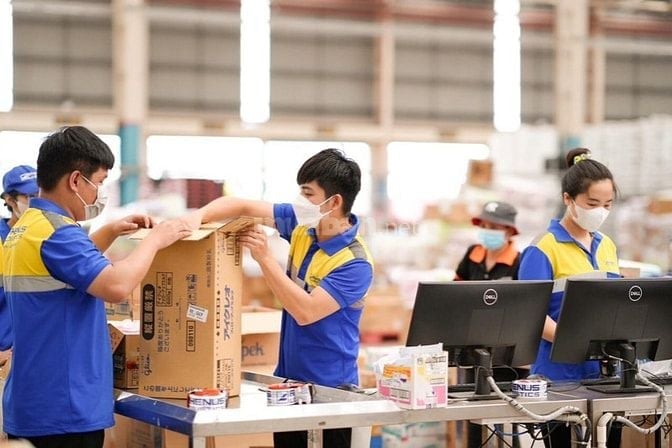 Phiên chợ đông tôi cầm nhầm chậu kiểng/Cty đang tuyển bạn ko nộp hồ sơ