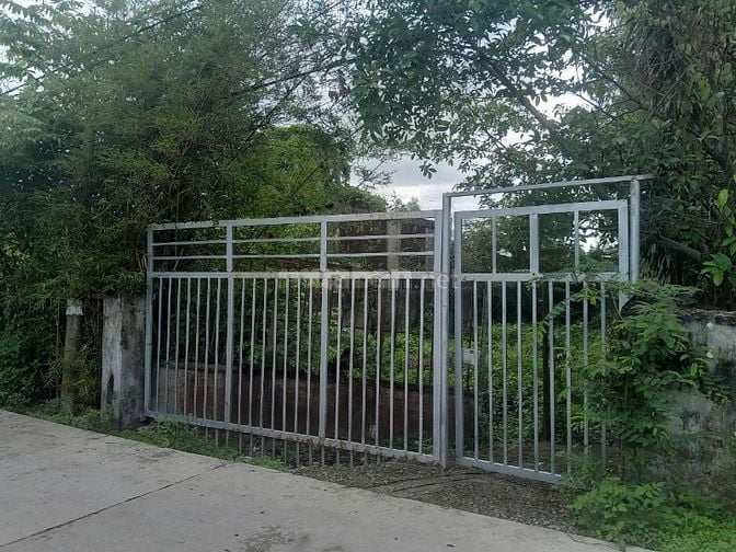 Cho thuê nhà và đất gần 500m2 bao gồm 7 căn nhà trọ 1 kho và đất trống