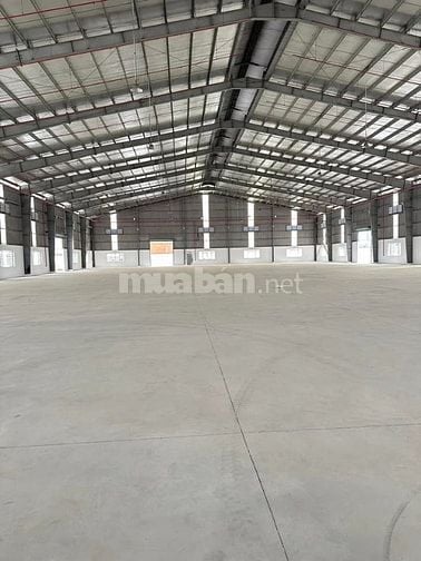 Cho thuê kho xưởng mới xây gần cảng Đức Hòa – Long An, DT : 10.000m2