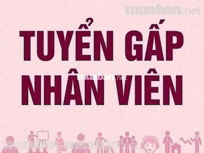 TUYỂN GẤP NV GIAO CHỞ HÀNG LÀM GIỜ HÀNH CHÍNH 