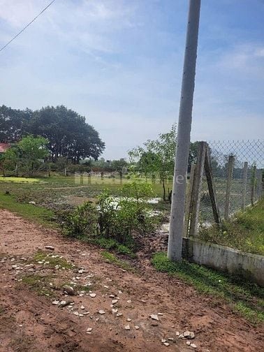 Bán đất Cách Đường 25C 300m, Gần Khu công Nghiệp.