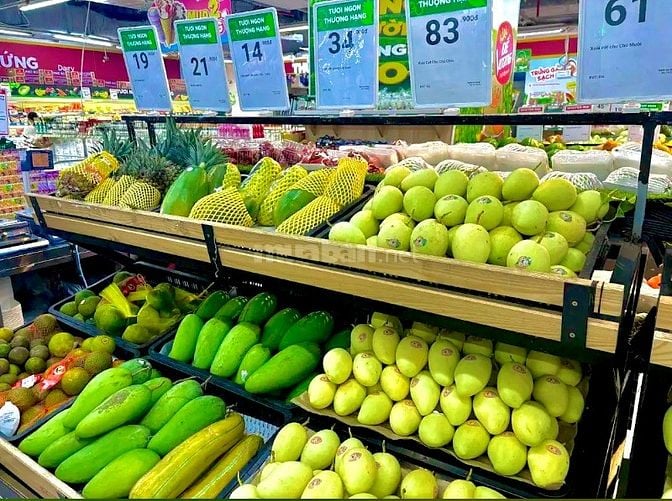 HỆ THỐNG SIÊU THỊ TUYỂN DỤNG NHÂN VIÊN ĐI LÀM NGAY TẠI TP.HCM