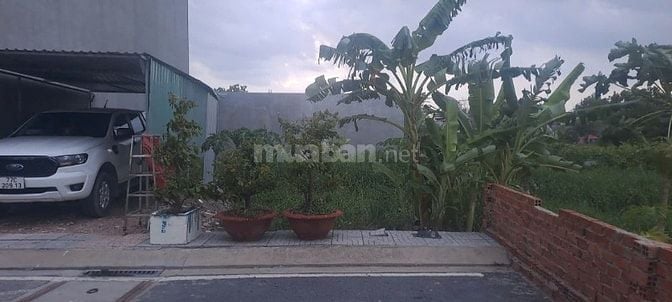Bán nền thổ cư rẻ HXH đỗ cửa Tỉnh Lộ 10 Bình Tân dt 74m2 chỉ 3,25 tỷ 