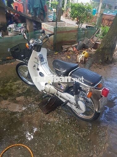 Xe cub máy êm