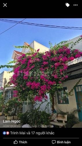 Cho Thuê Phòng Trọ Gần Công An Quận Ninh Kiều