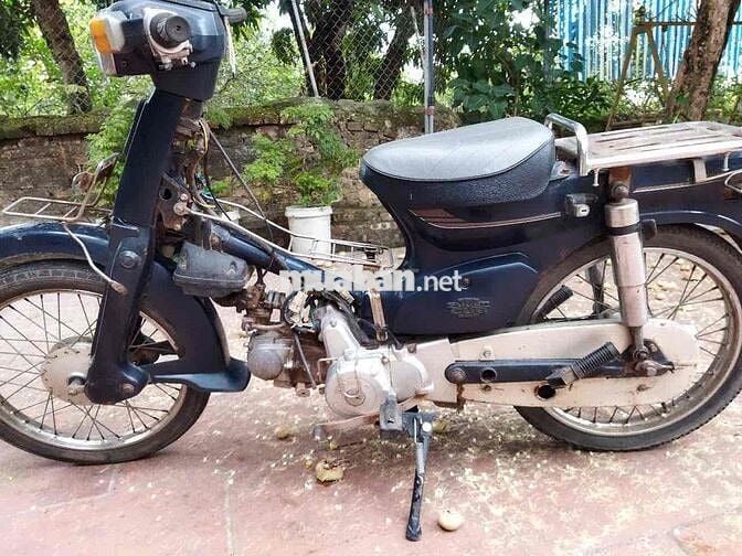 xe cup 50cc học sinh lên hơi khoẻ