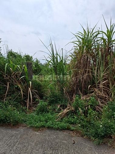 Bán đất hẻm xe tải đường Hùng Vương Nhơn Trạch giá 7,1