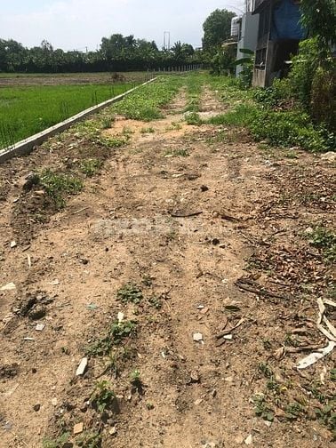 Bán 2400m2 đất Bình Chánh, 16 triệu/m2, gần chợ, ủy ban nhân dân