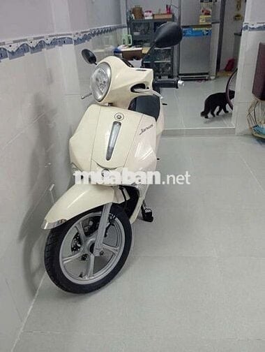 MÌNH CẦN BÁN XE JANUS CHÍNH CHỦ