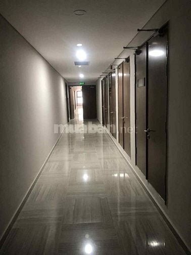 🏙️ CHÍNH CHỦ BÁN CĂN HỘ OPAL SKYLINE TẦNG 25 – VIEW XỊN, Ở LÀ PHÊ!