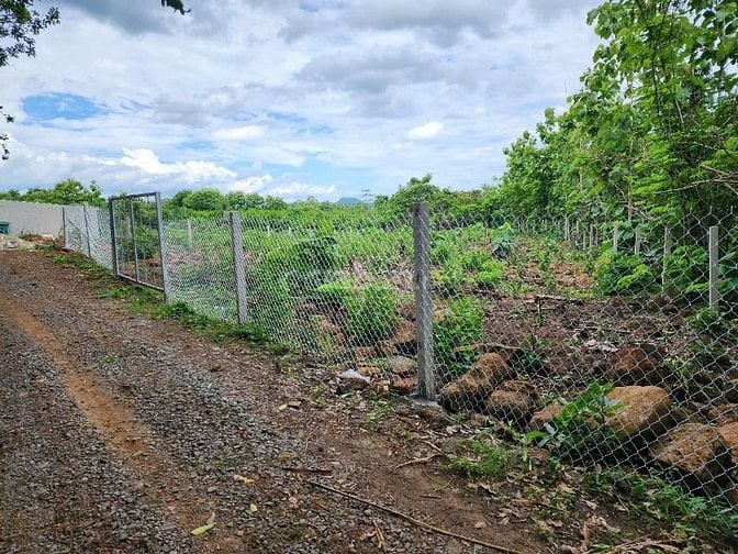 CHÍNH CHỦ BÁN 1089 M2 ĐẤT CLN  TẠI XÃ NGỌC ĐỊNH, HUYỆN ĐỊNH QUÁN