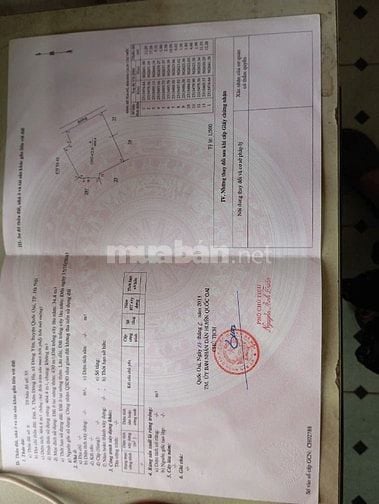 Bán đất phun thổ cư, điện tích 436 m2 phun đẹp vuông vắn ,ô tô vào tận