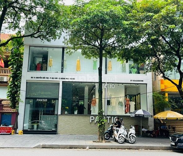 Siêu phẩm mặt bằng kinh doanh phố Ô Chợ Dừa, DT 250m, MT 10m 