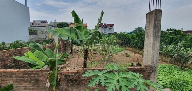 🌿 CẦN BÁN 2 LÔ ĐẤT VUÔNG ĐẸP NHƯ PHÂN LÔ TẠI XÃ PHƯỢNG SƠN, QUỐC OAI 