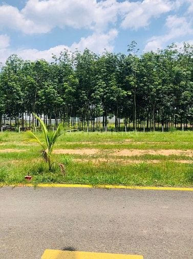 LÔ ĐÁT TÂN ĐỊNH THÀNH PHỐ MỚI BÌNH DƯƠNG 460TR CÒN MỖI LÔ DUY NHẤT 