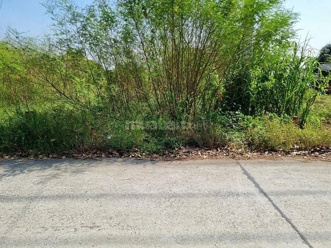 220m2 THỔ CƯ HẾT ĐẤT 1/ TỈNH LỘ 7 PHƯỚC THẠNH GẦN KÊNH ĐÔNG MÁT MẺ