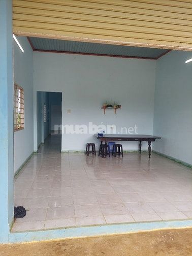 Bán nhà và đất thôn 3 lộc tan bảo lộc lam đồng 