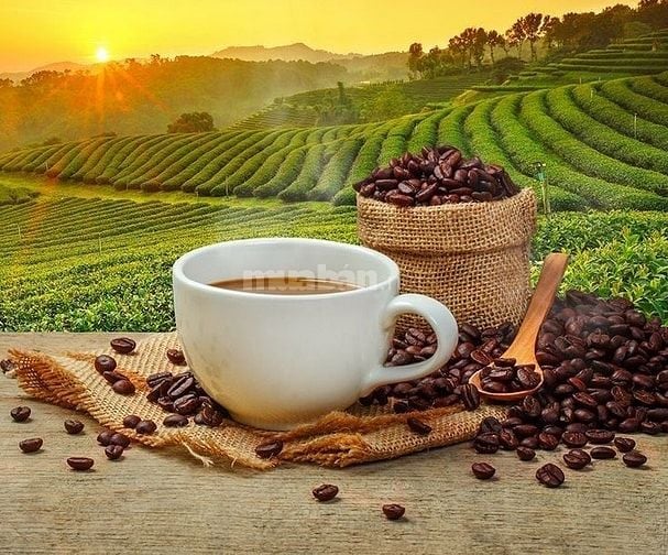 🍹 Làm Việc Vừa Chill Vừa Có Tiền – Tuyển Nhân Viên Cafe, Trà Sữa TPHC