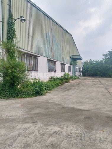 Bán nhà xưởng 8.208m2 tại Tân Vĩnh Hiệp, Tân Uyên, Bình Dương.
