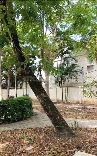 BÁN NHÀ MẶT TIỀN ĐƯỜNG SỐ 24 QUẬN 6 DT(4X24)GIÁ 12.5 TỶ 