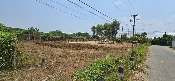 Bán đất mặt tiền đường chính cù lao Bạch Đằng, xã Bạch Đằng, Tân Uyên,