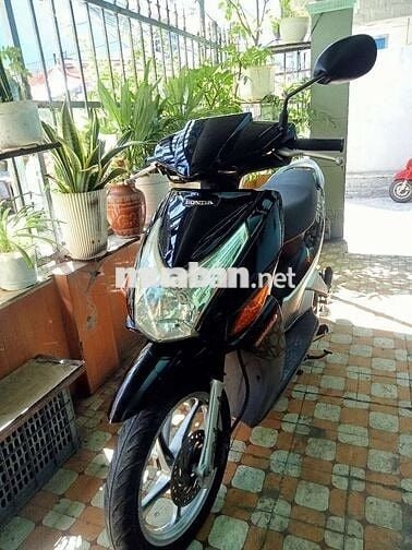 XE HONDA CLICK BIỂN 43