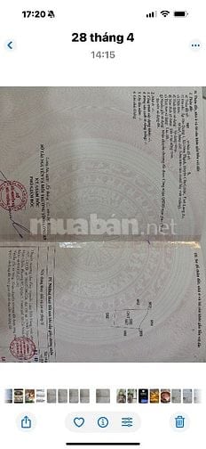 Cần bán đất Cần Giuộc, Long An 
