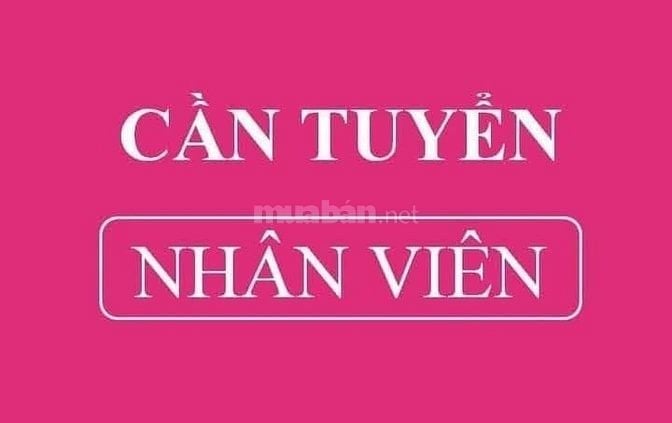 Tuyển Gấp Nhân Viên Hành Chính Nhân Sự 