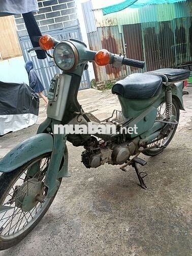 CUB 81