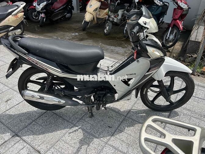 xe 50 máy êm ru bs64 ngây chủ
