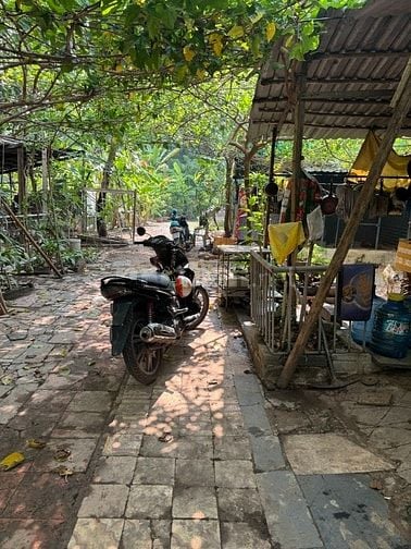  Bán đất 496/ Dương Quảng Hàm, P.6, GV: 2000m2, giá 33,5 tỷ