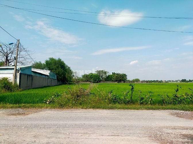 Bán đất mặt tiền Trương Thị Như huyện Hóc Môn giá 12,7 tỷ