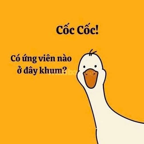 CÔNG TY CẦN TUYỂN NV VĂN PHÒNG VÀ LĐPT LÀM VIÊC TPHCM