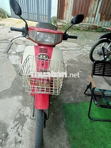 MAX NHẬT BSTP