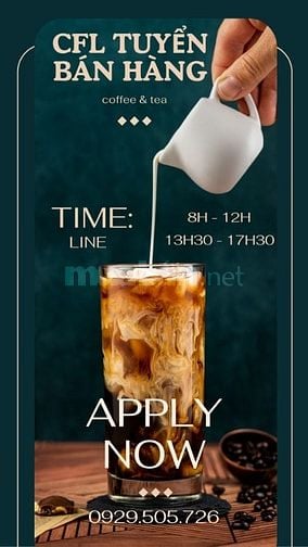 Việc làm thêm hè ở TPHCM, không yêu cầu kinh nghiệm 