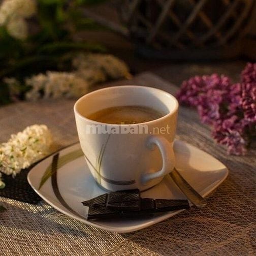 PHỤ BÁN CÀ PHÊ VÀ SỮA SOCOLA / MATCHA 