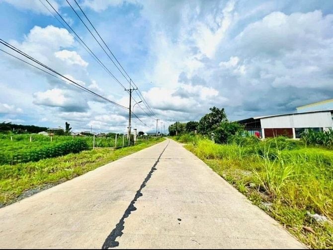 ĐẤT PHƯỚC THẠNH HƠN 2000m2 TC MT ĐƯỜNG BÊ TÔNG CHỈ 1tỷ300 