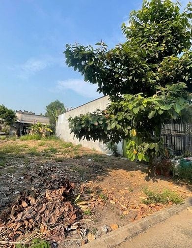 Bán Đất Tân Phú Trung-Củ Chi Gần Mặt Đường Chính Giá 600 triệu