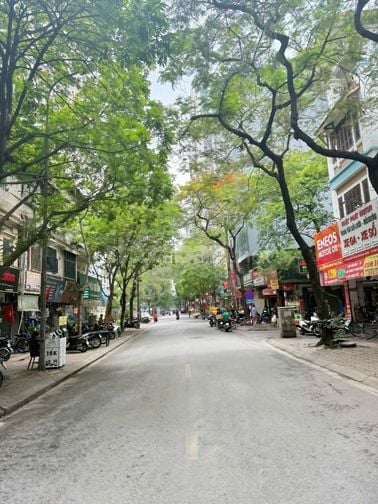 Hiếm! Phân lô Nguỵ Như Kon Tum 55m2*4T,MT:4m,oto tránh,ngõ thông,16tỷ.