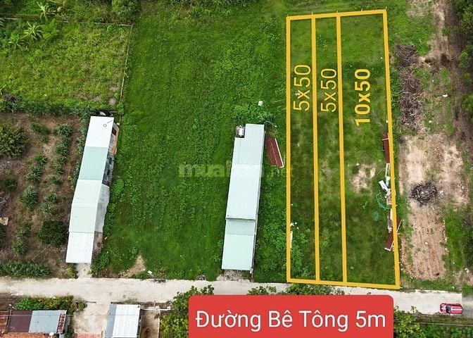5x50 full thổ, đường bê tông. 580tr