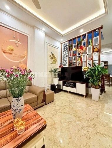 TRUNG TÂM THANH XUÂN, VŨ TÔNG PHAN. 45M2, 5 TẦNG, GIÁ 13,8 TỶ. 3 Ô TÔ 