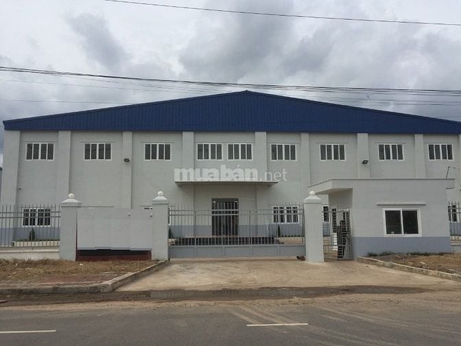 Cho thuê kho xưởng 5.200m2 GIÁ RẺ mặt tiền Phan Văn Hớn, Xuân Thới Sơn