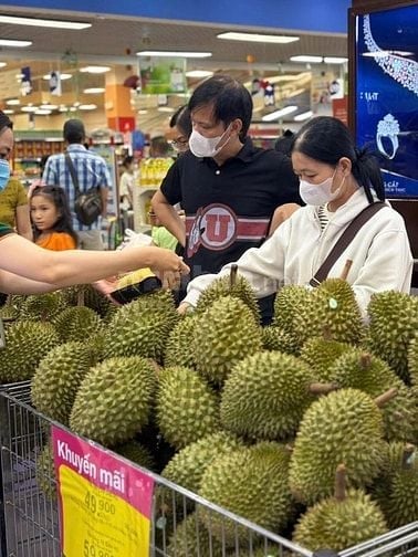 SIÊU THỊ Cần Tuyển LĐPT Thời Vụ Và Chính Thức làm Tạp Vụ,Bán Hàng, Kho