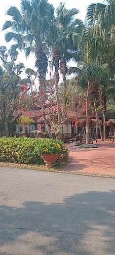 460m đất thôn Phúc Xuân,Xã Bắc Sơn,H Sóc Sơn,gần Hồ Cầu Bãi,oto tránh