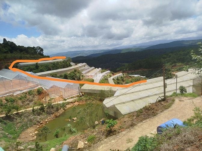 CƠ HỘI TỐT ĐỂ SỞ HƯU NGAY LÔ ĐẤT VỊ TRÍ ĐẸP- KHẢ NĂNG SINH LỜI CAO 