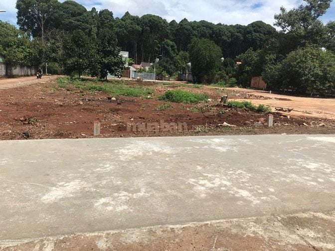 HÀNG NGỘP HÀNG NGỘP ĐẤT PHƯỜNG XUÂN LẬP - LONG KHÁNH 