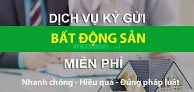 CHUYÊN MÔI GIỚI VÀ KÝ GỞI NHÀ ĐẤT KHU VỰC TRẦN VĂN GIÀU, BÌNH CHÁNH